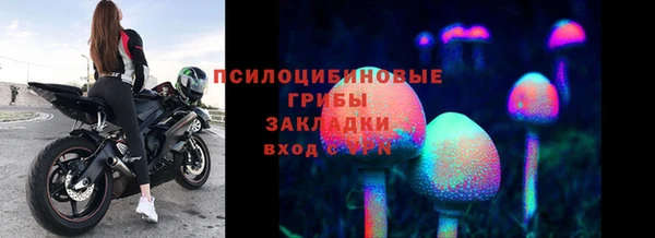не бодяженный Алзамай